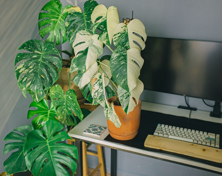 Simple Ways to Personalize Your Workspace